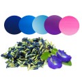 Butterfly pea (Clitoria ternatea) flowers Natural color